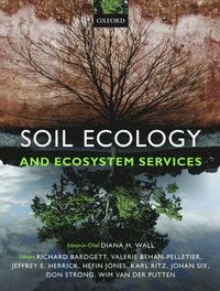 bokomslag Soil Ecology and Ecosystem Services