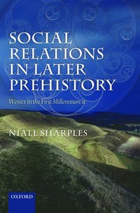 bokomslag Social Relations in Later Prehistory