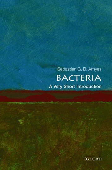 Bacteria