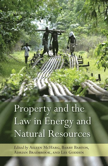 Property and the Law in Energy and Natural Resources 1