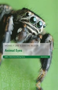 bokomslag Animal Eyes
