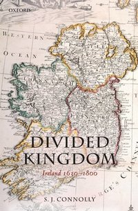 bokomslag Divided Kingdom