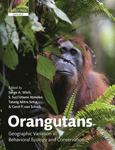 bokomslag Orangutans