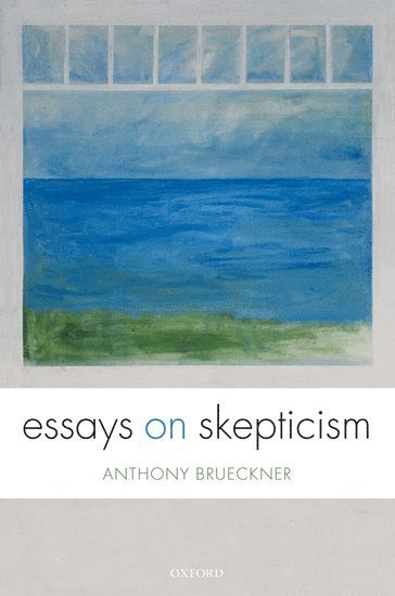 bokomslag Essays on Skepticism