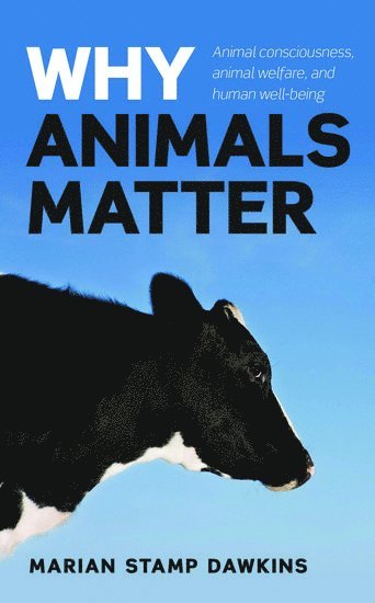 bokomslag Why Animals Matter