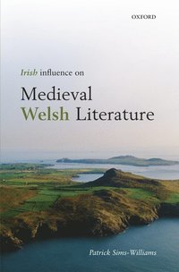 bokomslag Irish Influence on Medieval Welsh Literature