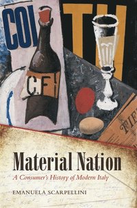 bokomslag Material Nation