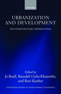 bokomslag Urbanization and Development