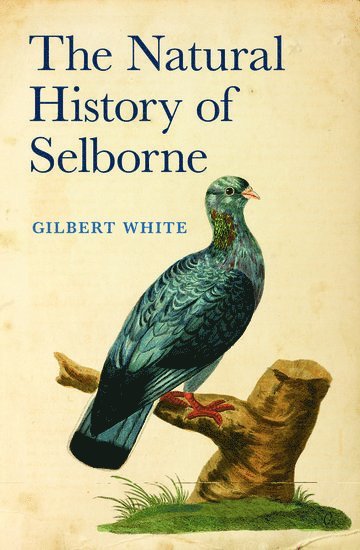 bokomslag The Natural History of Selborne