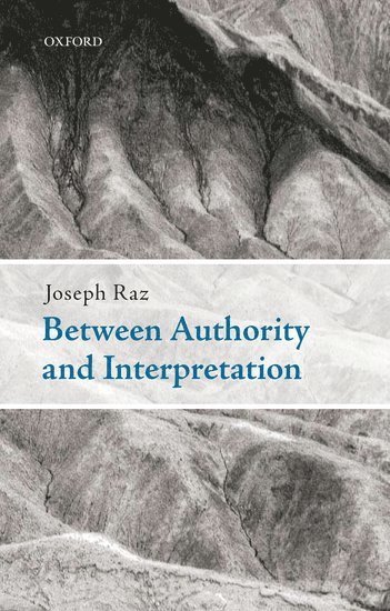 bokomslag Between Authority and Interpretation