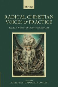 bokomslag Radical Christian Voices and Practice