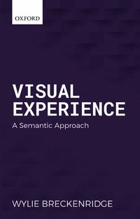 bokomslag Visual Experience