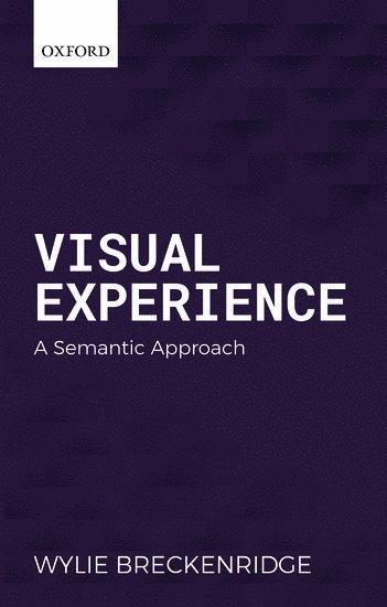 Visual Experience 1