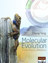 bokomslag Molecular Evolution