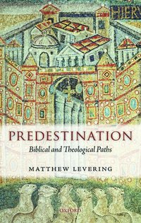 bokomslag Predestination