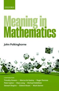 bokomslag Meaning in Mathematics