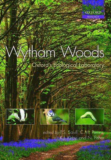 Wytham Woods 1