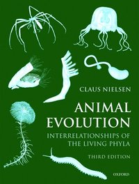 bokomslag Animal Evolution