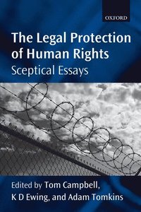 bokomslag The Legal Protection of Human Rights