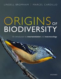bokomslag Origins of Biodiversity