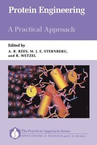 bokomslag Protein Engineering: A Practical Approach