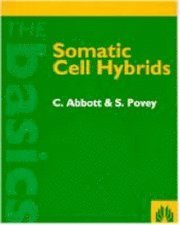 bokomslag Somatic Cell Hybrids
