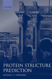 bokomslag Protein Structure Prediction