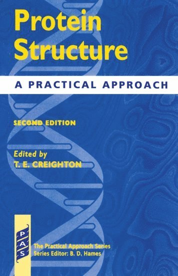 Creighton, T. E. Creighton - Protein Structure, Häftad
