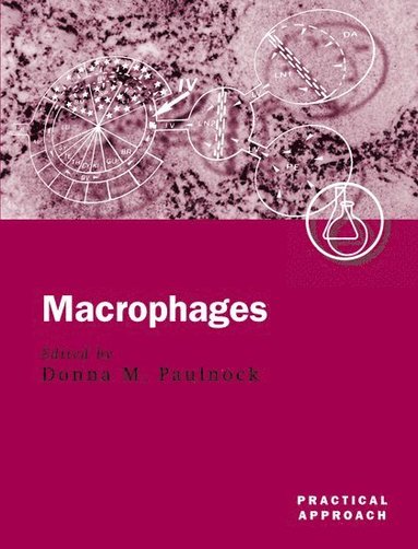 bokomslag Macrophages