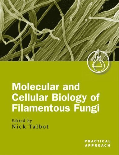 Talbot, Talbot - Molecular and Cell Biology of Filamentous Fungi, Häftad