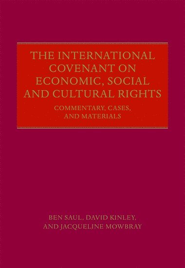 bokomslag The International Covenant on Economic, Social and Cultural Rights