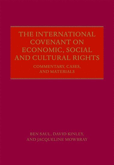 bokomslag The International Covenant on Economic, Social and Cultural Rights