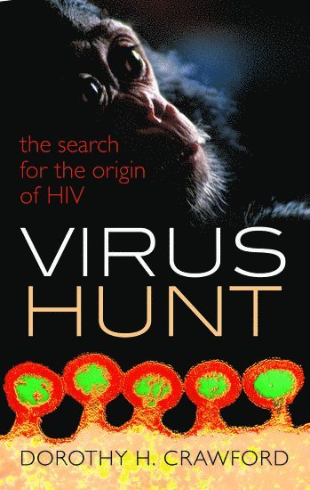 Virus Hunt 1