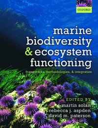 bokomslag Marine Biodiversity and Ecosystem Functioning