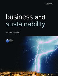 bokomslag Business and Sustainability