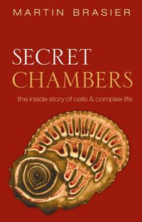 bokomslag Secret Chambers