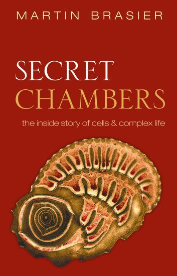 bokomslag Secret Chambers
