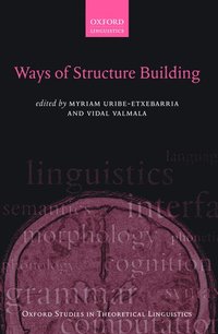 bokomslag Ways of Structure Building