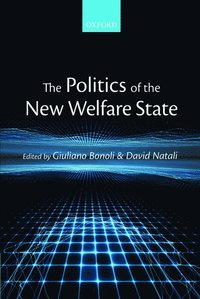 bokomslag The Politics of the New Welfare State