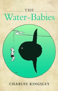 bokomslag The Water-Babies