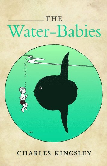 bokomslag The Water-Babies