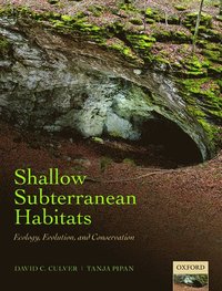 bokomslag Shallow Subterranean Habitats