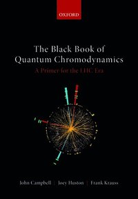 bokomslag The Black Book of Quantum Chromodynamics