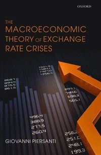 bokomslag The Macroeconomic Theory of Exchange Rate Crises