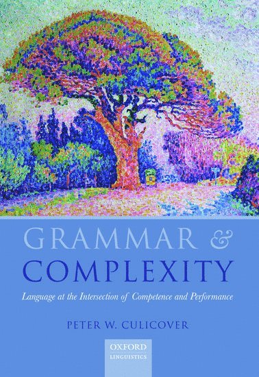 bokomslag Grammar & Complexity