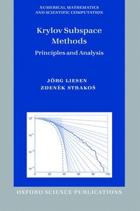 bokomslag Krylov Subspace Methods