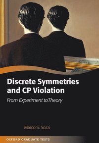 bokomslag Discrete Symmetries and CP Violation