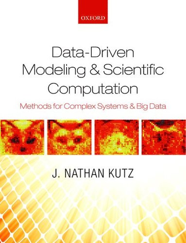 J. Nathan Kutz - Data-Driven Modeling & Scientific Computation, Inbunden