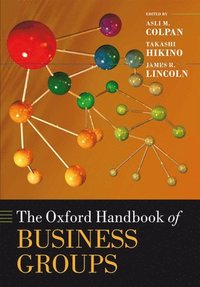bokomslag The Oxford Handbook of Business Groups
