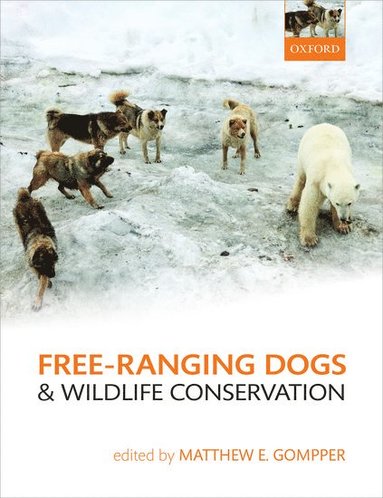 bokomslag Free-Ranging Dogs and Wildlife Conservation